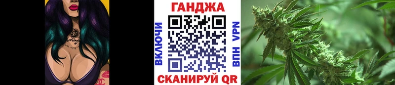 Бошки Шишки Amnesia  Купить закладки  Темников 